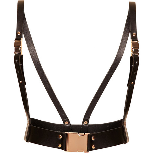 harness trend