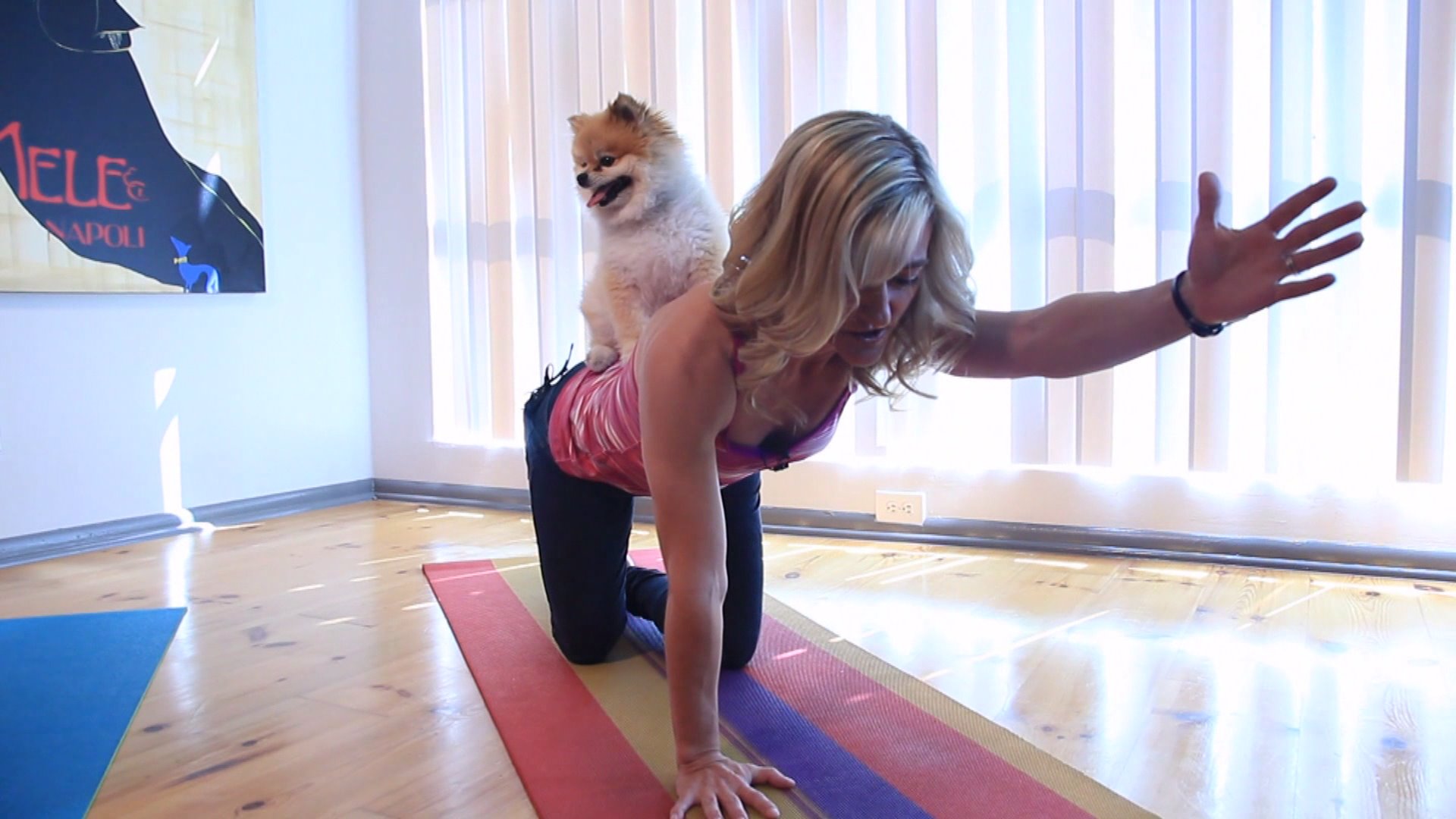 Doga: Yoga for you and your Dog